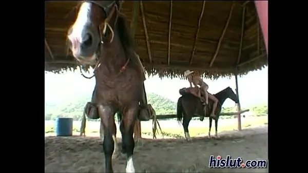 HD-Fucking on Horse topvideo's