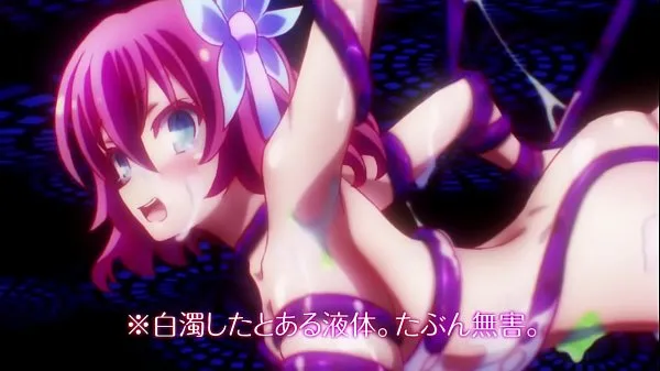 HD No Game No Life (2014) - Fanservice Compilation topp videoer