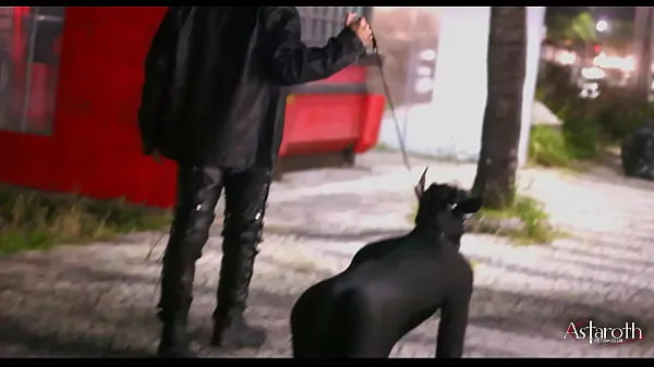 HD Master takes his pet dog for a walk in the City. P1 top Videos