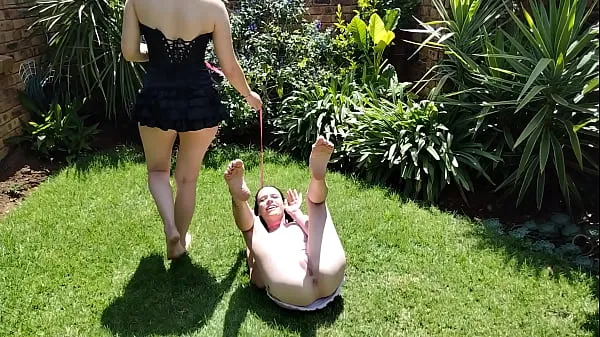 HD Petting my pale bitch as she pisses everywhere outside on the grass | close up pussy | collar leash topp videoer