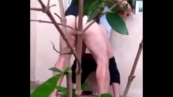 HD Busted! male fucking the primu in the backyard of the house शीर्ष वीडियो