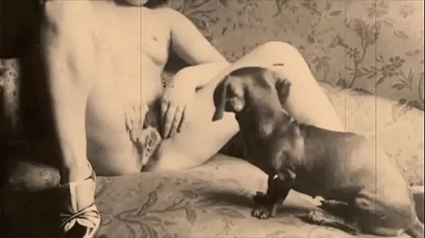 HD Vintage Taboo, Pussy & Pooch top Videos