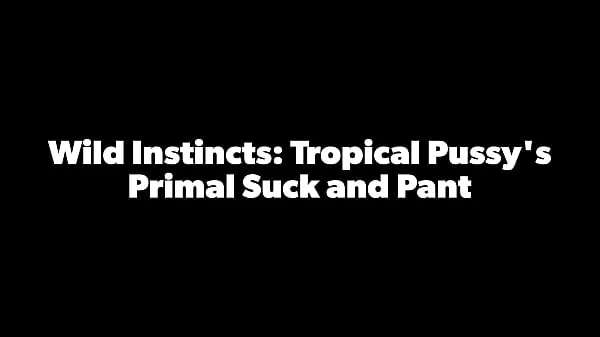 HD Tropicalpussy - update - Wild Instincts: Tropical Pussy's Primal Suck and Pant - Dec 26, 2023 najlepšie videá